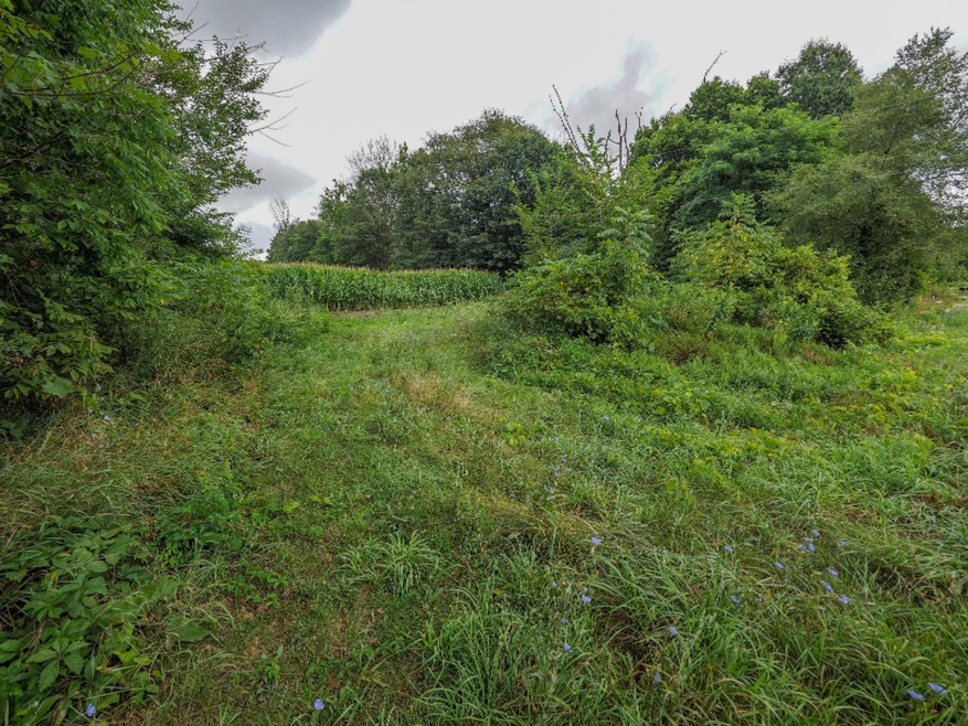 View from road at SW cor