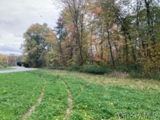 0 Park Place, East Fishkill, NY 12582 - photo 1