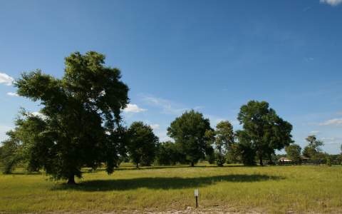 LOT30 Mandiba Dr, Lake City, FL 32024 - photo 1