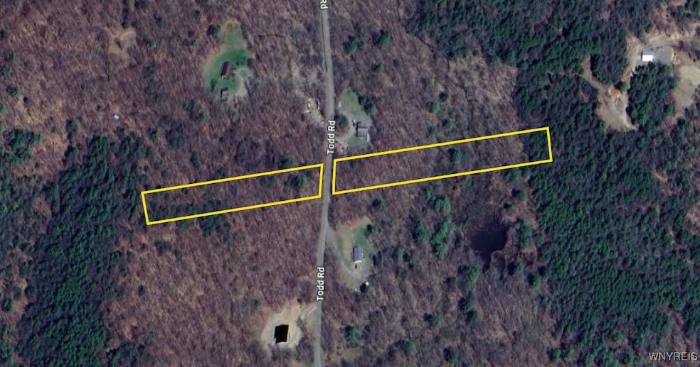 00 Todd Rd, Hartwick, NY 13807 - photo 1