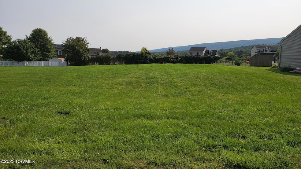 255 Middleswarth Lot 31 St, Beavertown, PA 17813 - photo 1