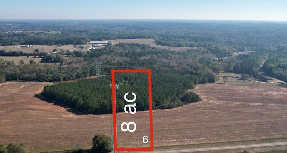 Lot 6 County Road 238, Headland, AL 36345 - photo 1