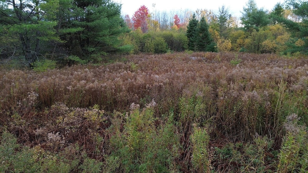 0 Silvers Mills Rd unit LotWP001 23320211, Sangerville, ME 04479 - photo 1