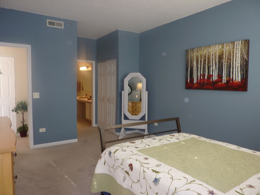 3100 Town Square Dr unit 105, Rolling Meadows, IL 60008 - photo 1