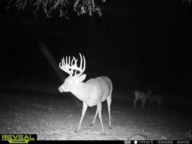 51152 Clarke-Lucas Ave, Lucas, IA 50151 - photo 1