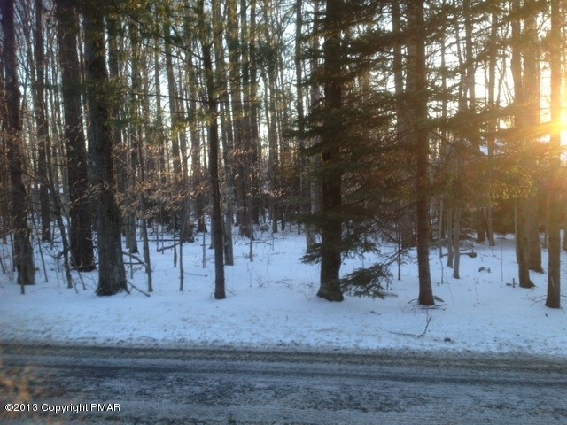 184 Woodland Ave, Pocono Pines, PA 18350 - photo 1
