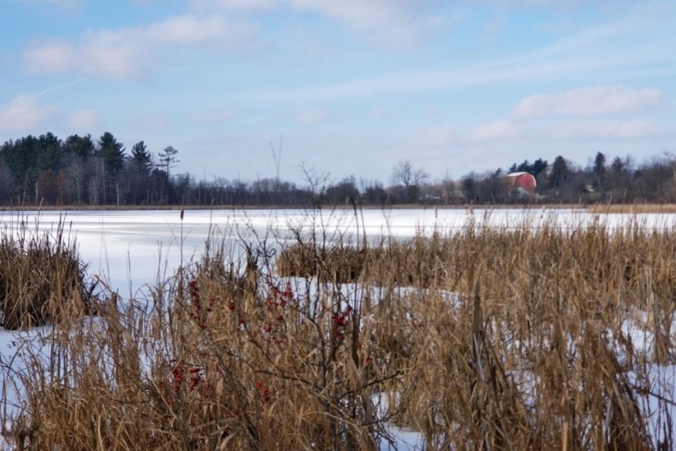 1 Farnsworth Lake