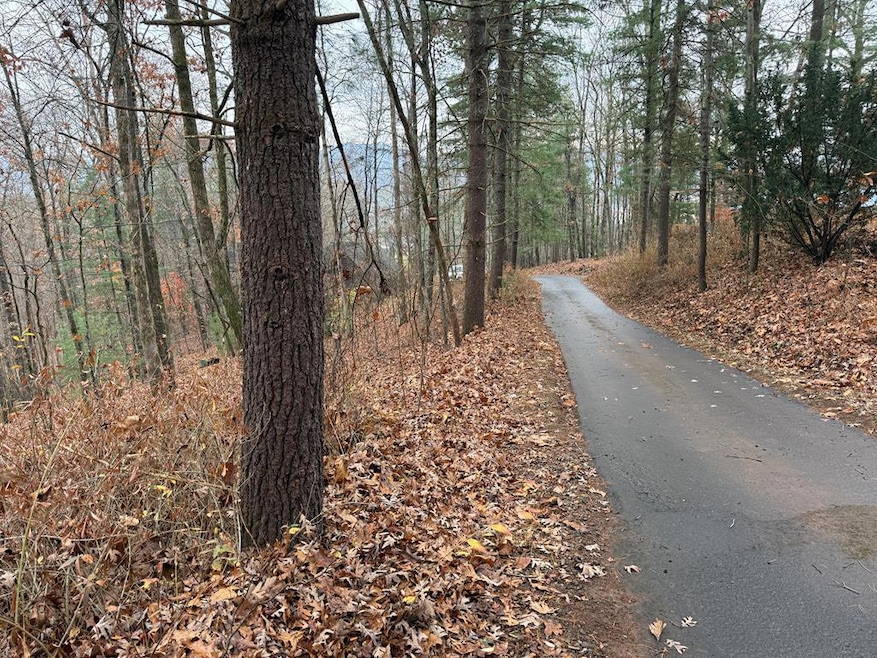 0 Rosenkranz Ln unit 420573, Hiawassee, NC 28904 - photo 1