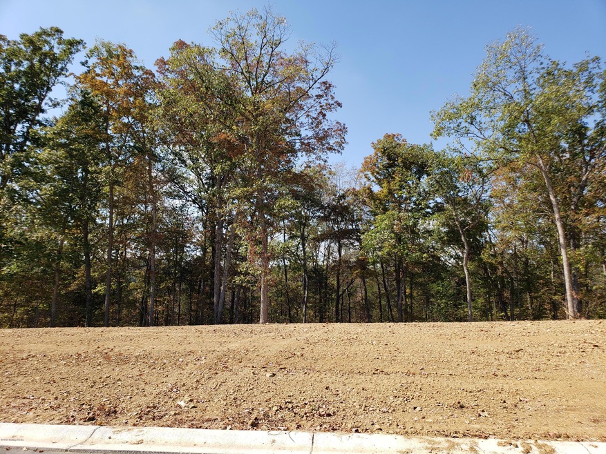 42 Kilner Googlett Ct, Mount Washington, KY 40047 - photo 1