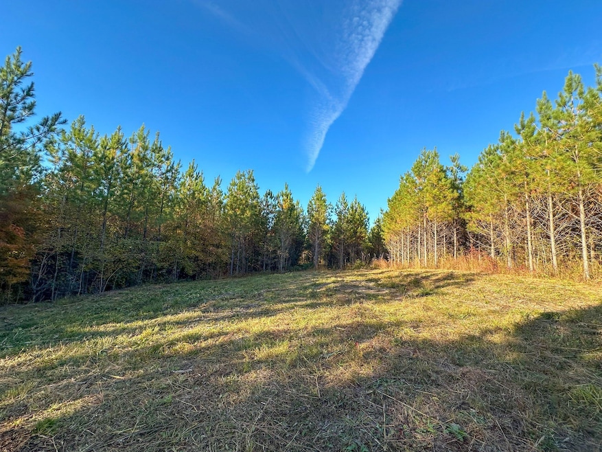 0 Jordon Rd unit 25580264, Waverly Hall, GA 31831 - photo 1