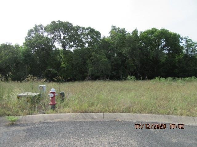 119 Settlement Dr, Fredericksburg, TX 78624 - photo 1