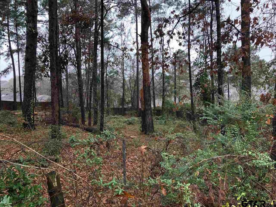 2649 Westminster Dr, Tyler, TX 75701 - photo 1