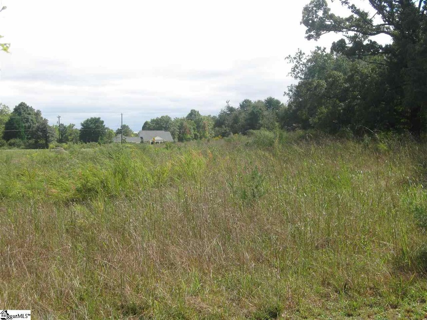 1245 New McElhaney Rd unit 10063 Old White Hors, Travelers Rest, SC 29690 - photo 1