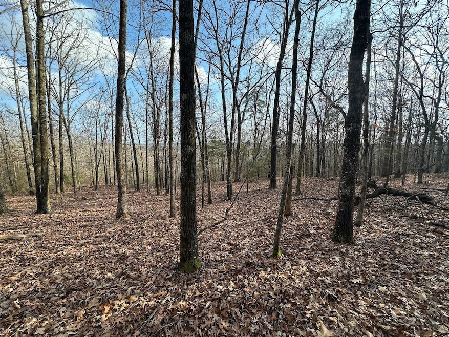 Sold $42,500 • Co-Listing Agent