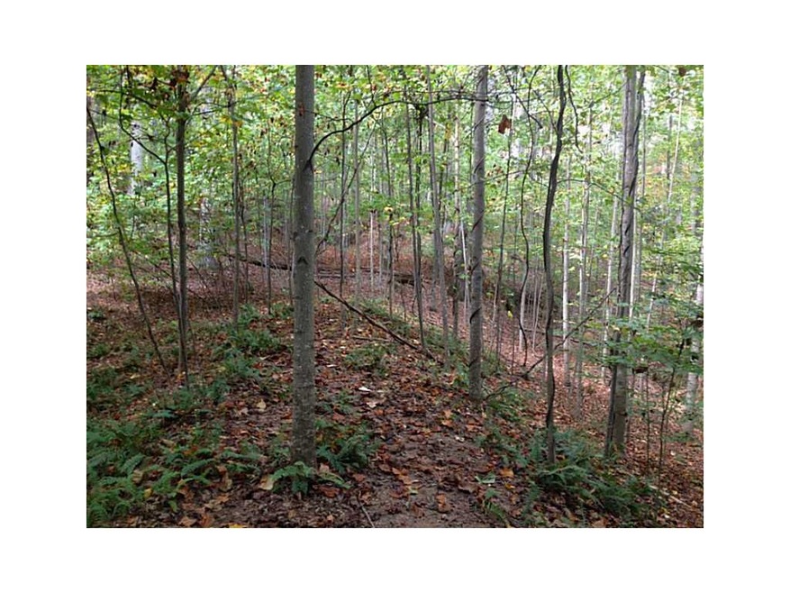 Land/Lot.