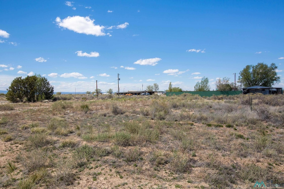 Lot: 17-18 Block 8, Willard, NM 87063 - photo 1