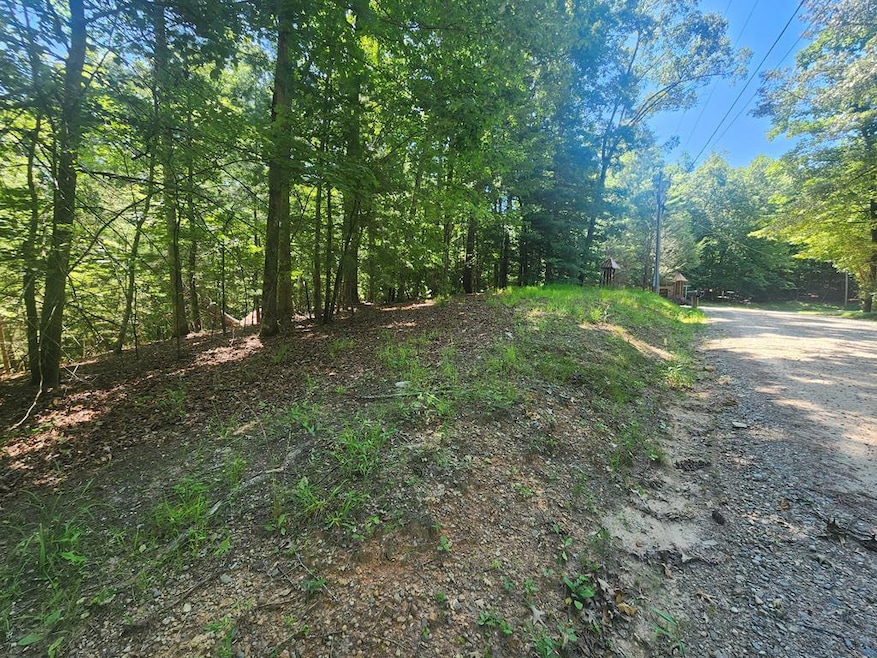 Lot 3 Meadow View Dr, Morganton, GA 30560 - photo 1