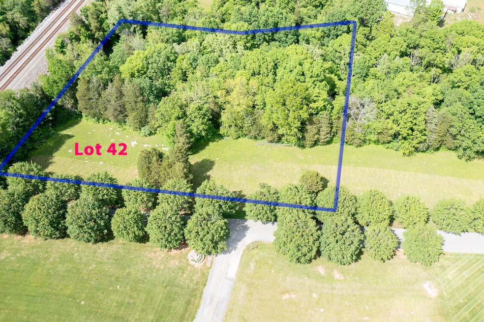 Lot 42
