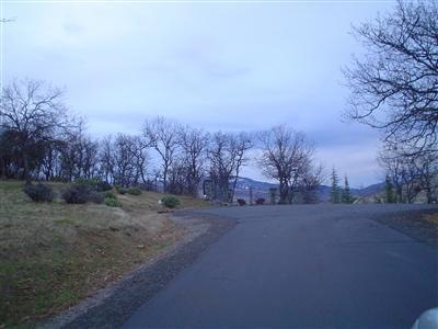 Primary Photo
