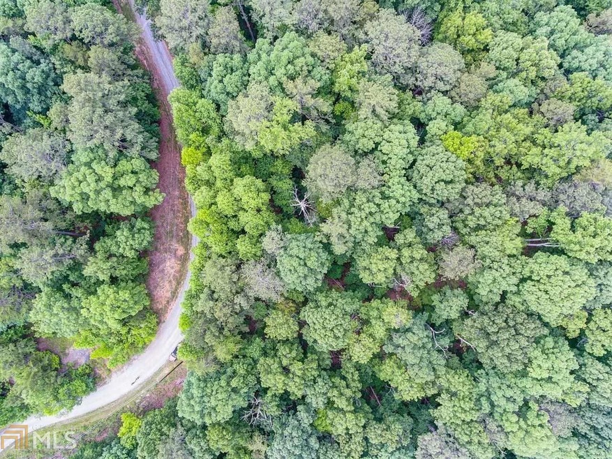 1259 Onyx Ct, Ranger, GA 30734 - photo 1