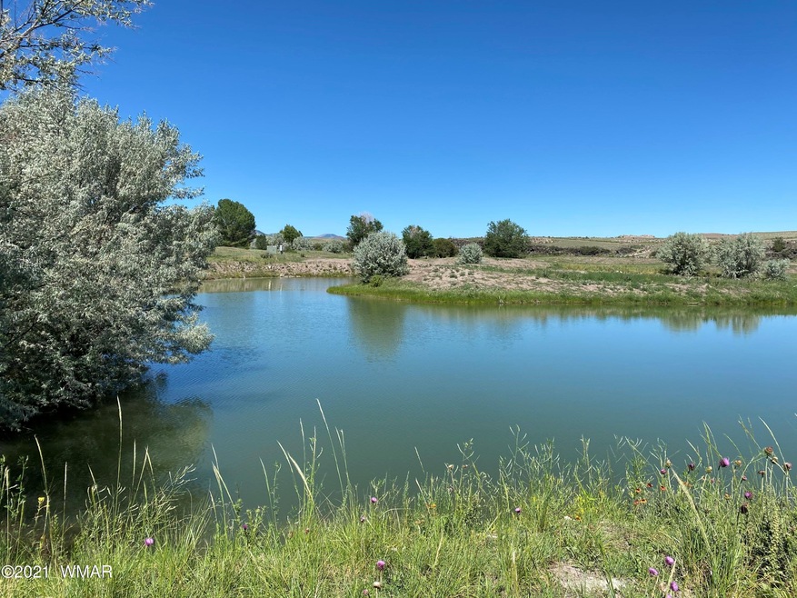 Pond