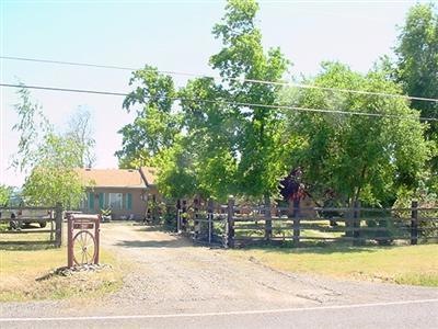 Primary Photo