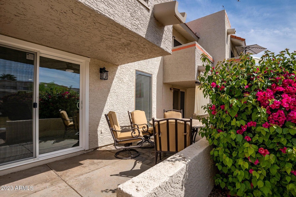 Rear Patio