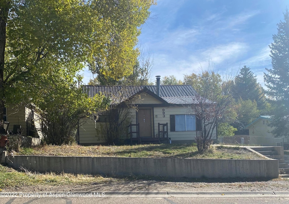 993 Colorado St, Craig, CO 81625 - photo 1