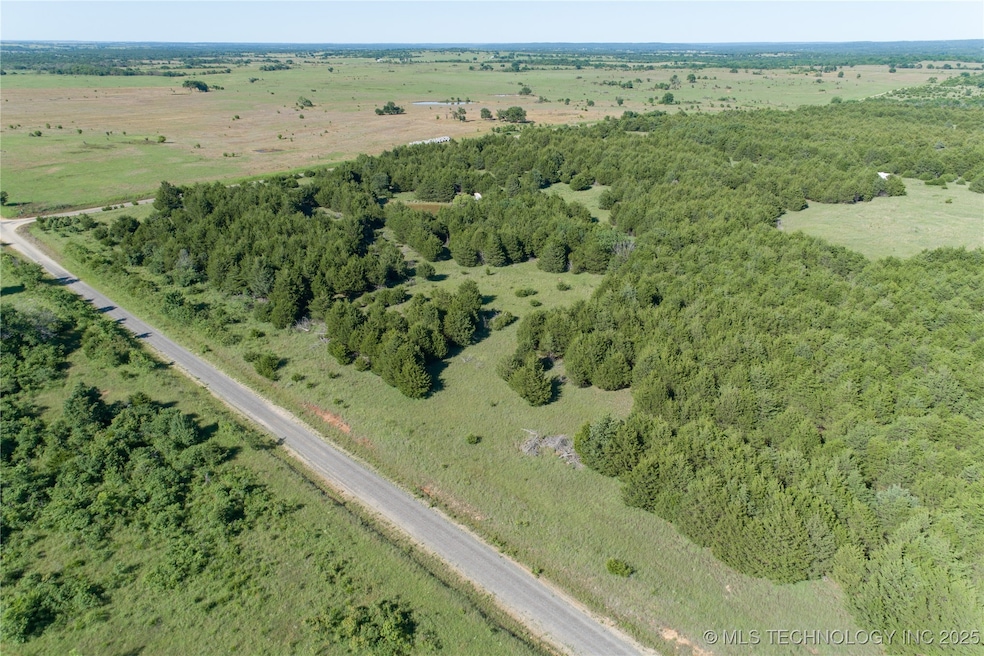NW Corner of property