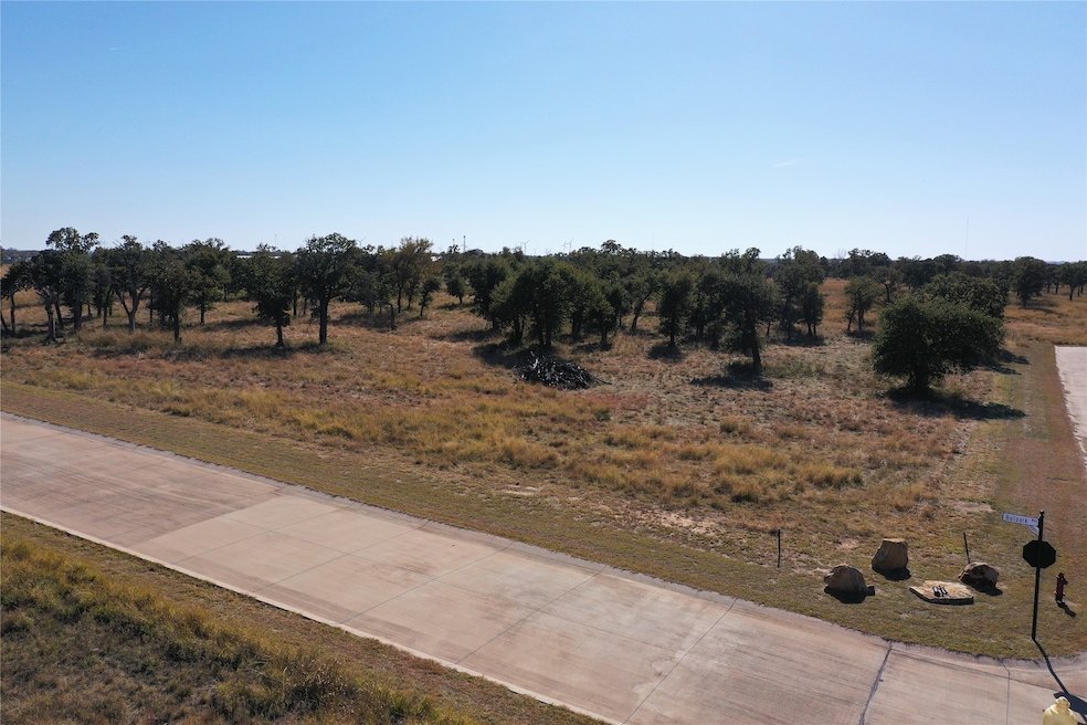000 Ballpark Way, Jacksboro, TX 76458 - photo 1