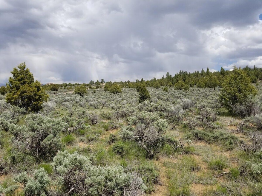 Main Picture of the Area