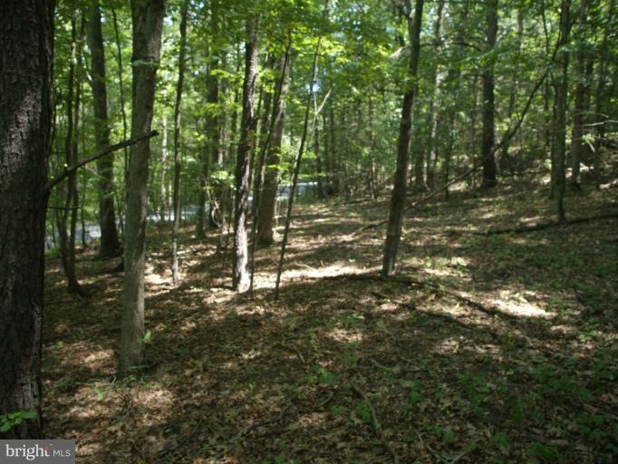 0 Linda Ln unit 1002550866, Basye, VA 22810 - photo 1