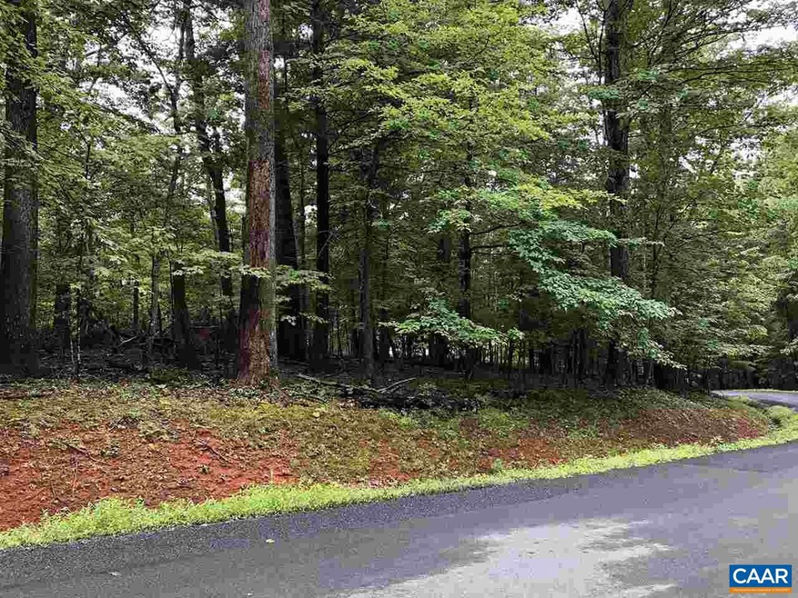 280 Foothills Dr, Nellysford, VA 22958 - photo 1