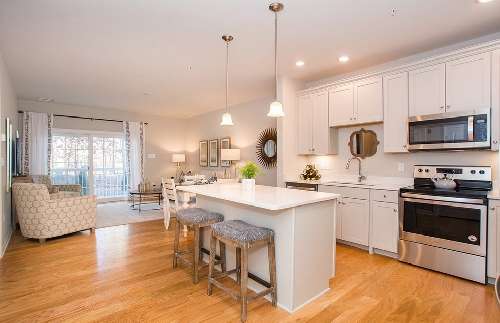 4203 Peters Farm Way unit 203, Westborough, MA 01581 - photo 1