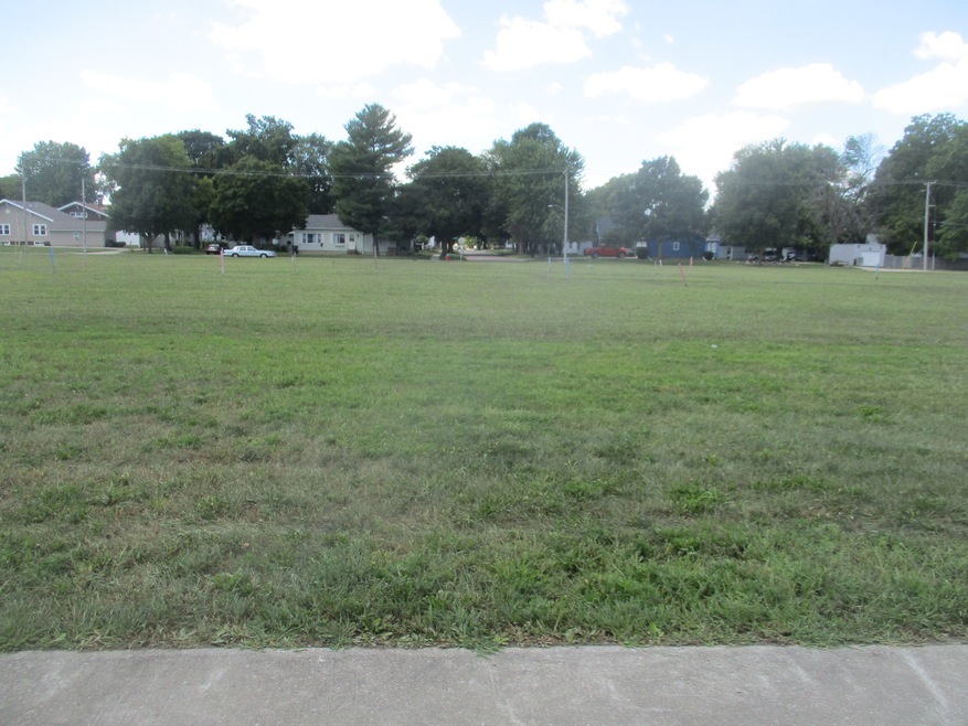 205 N Niles Ave, Tuscola, IL 61953 - photo 1