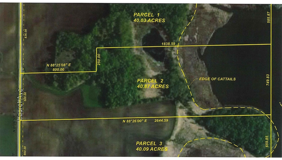 2XX Laurel Ave, Dahlgren Township, MN 55322 - photo 1