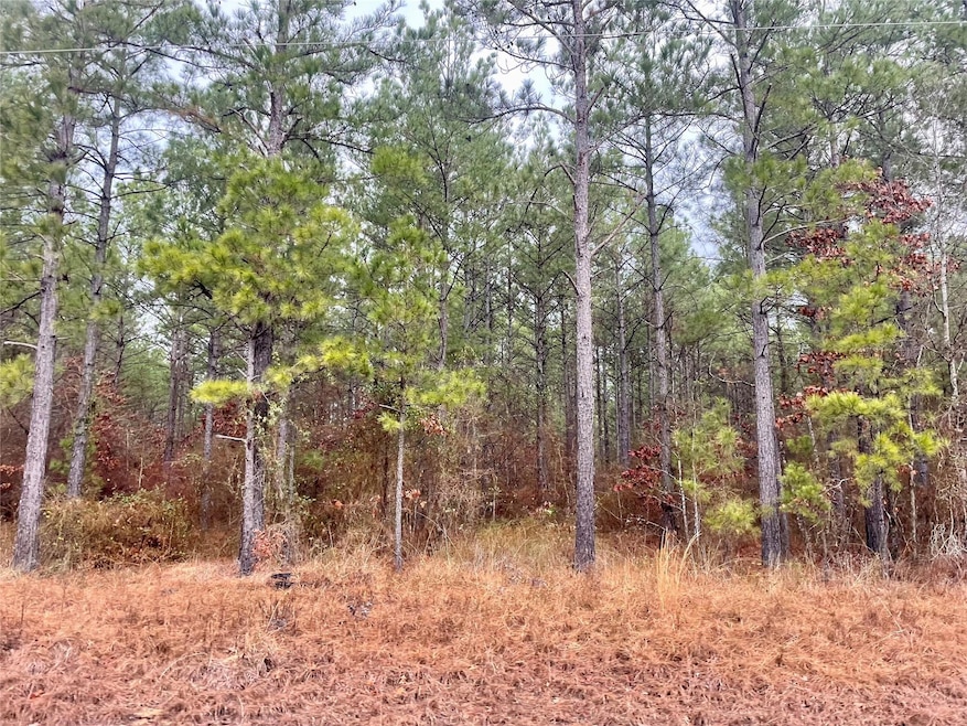 14429 Louisiana 157, Benton, LA 71006 - photo 1