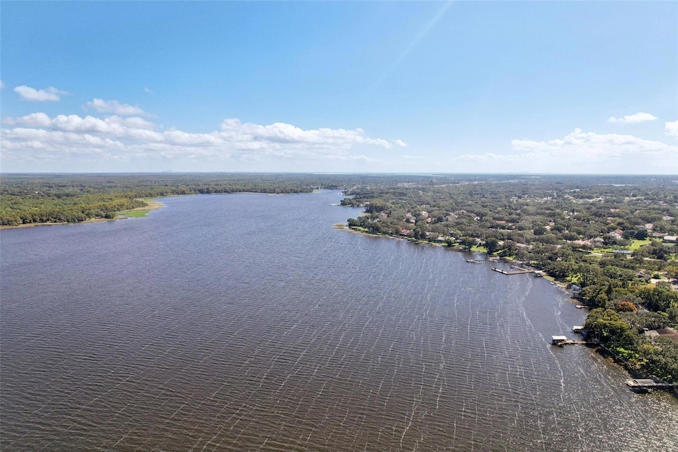 3140 N Canal Dr, Palm Harbor, FL 34684 - photo 1