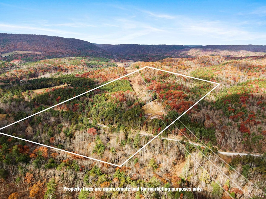 TBD Millers Creek Rd, Max Meadows, VA 24360 - photo 1