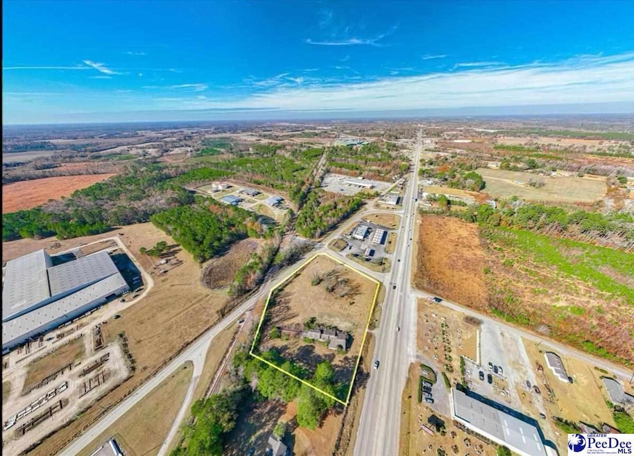 1706 S Main St, Darlington, SC 29532 - photo 1