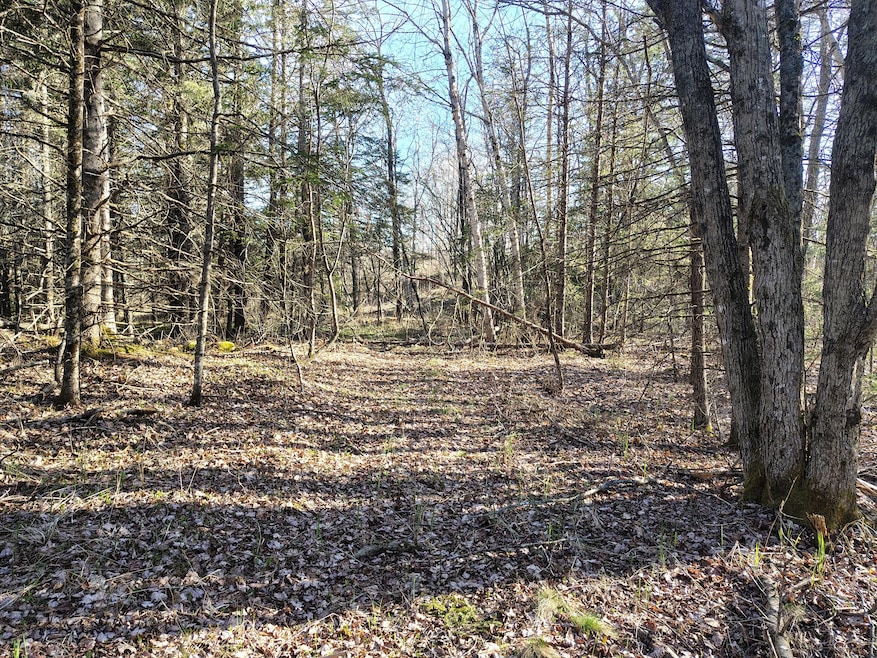 IMG_20250505_171221627_HDR