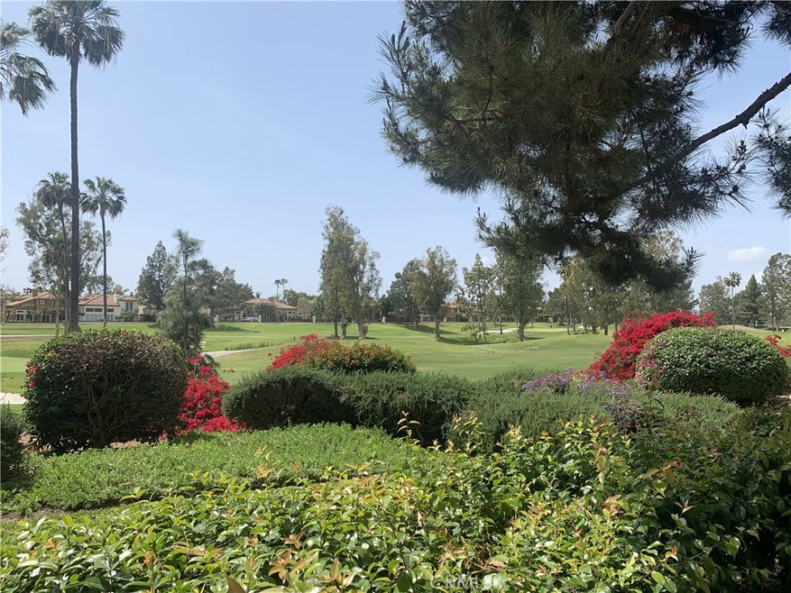 What a gorgeous view!