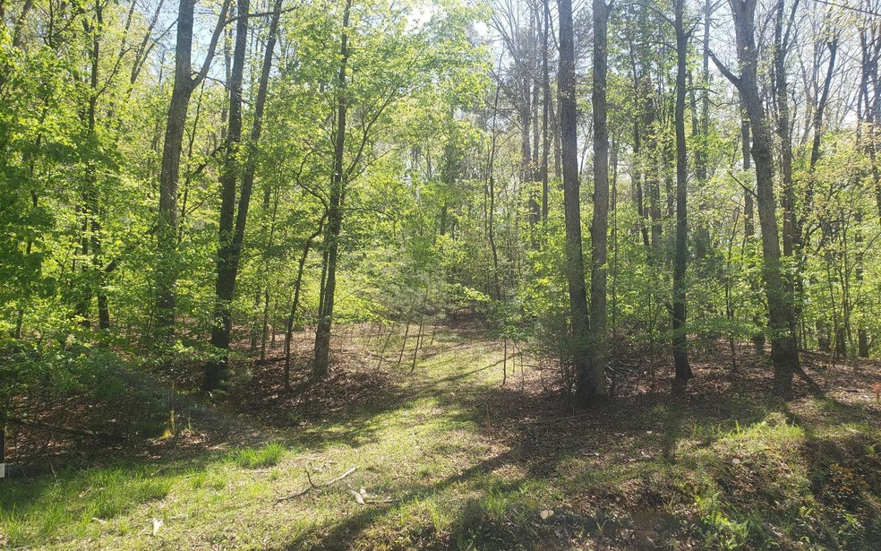 0 Water Oak Dr unit 306682, Ellijay, GA 30540 - photo 1