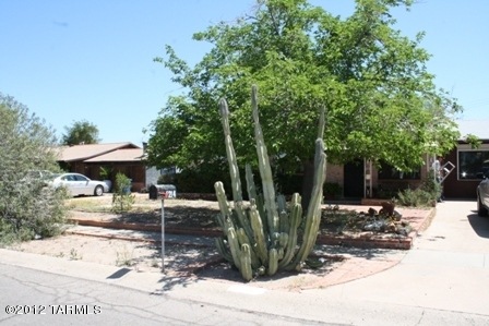 Front View