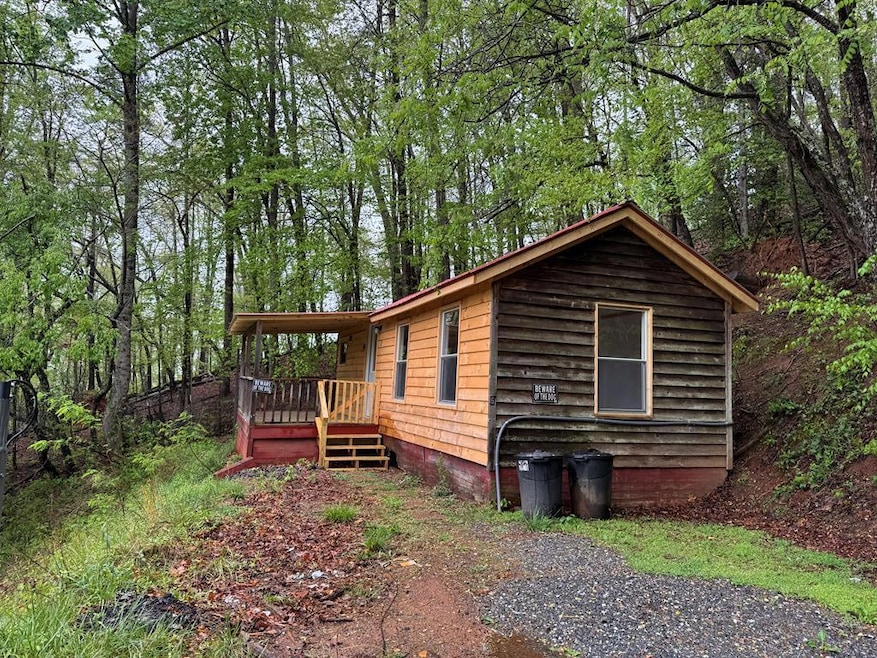 Main View