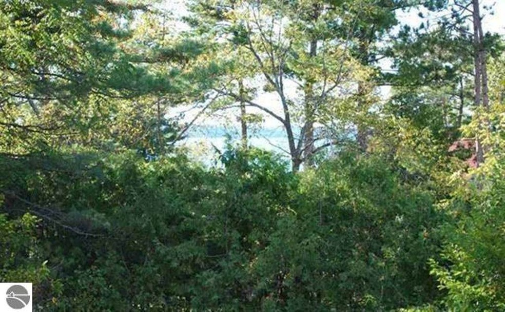 LOT 172 Ottawa unit 172, Elk Rapids, MI 49629 - photo 1