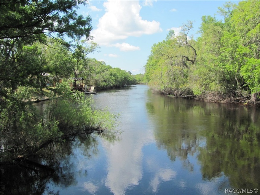 3825 E Riverside Dr, Dunnellon, FL 34434 - photo 1