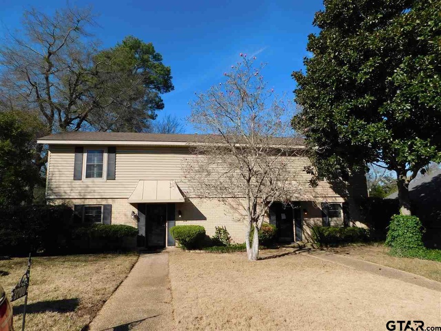 3700 3700 Colony Park, Tyler, TX 75701 - photo 1