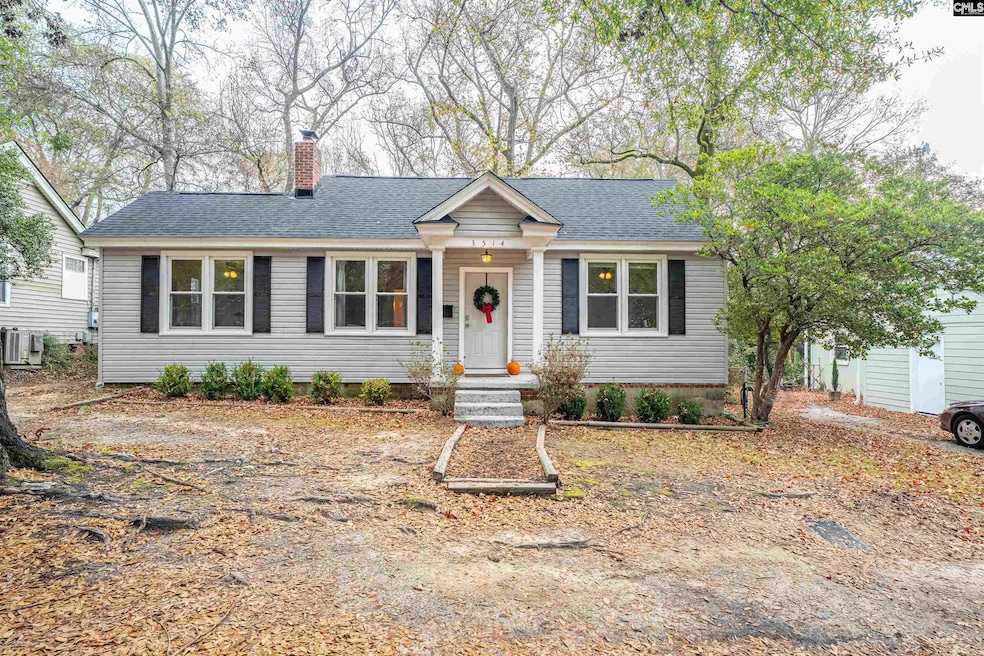 3514 Palmetto Ave, Columbia, SC 29203 - photo 1
