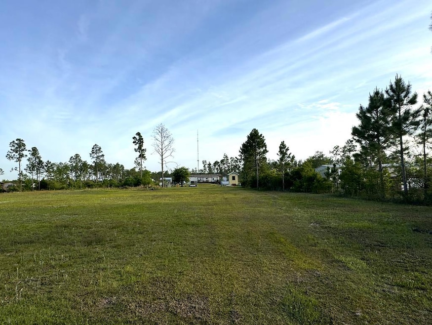 Lot 11 Pleasant Rest Rd, Wewahitchka, FL 32465 - photo 1